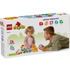 LEGO DUPLO 10412 Pociąg ze zwierzątkami-8353179