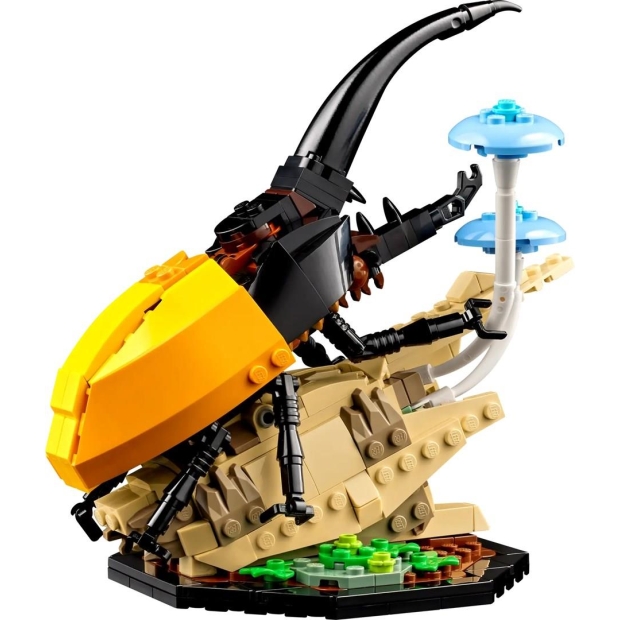 LEGO Ideas 21342 Kolekcja owadów-8351940