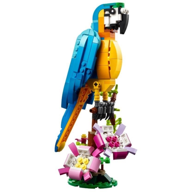 LEGO Creator 31136 Egzotyczna papuga-8353799