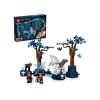 LEGO Harry Potter 76432 Zakazany Las: magiczne stworzenia-8575516